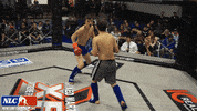 Lets Go Fighting GIF by New Line Cagefighting