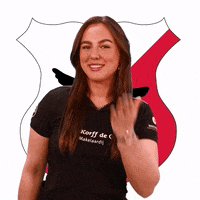 Rocmondriaan craeyenhoutma1 GIF