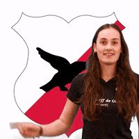 Rocmondriaan craeyenhoutma1 GIF