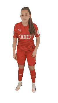 schanzerinnen frauenfussball nichtohnemeinemädels schanzerinnen 2 frauen bundesliga Sticker