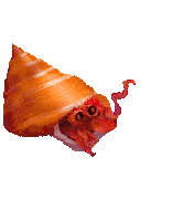 crab STICKER