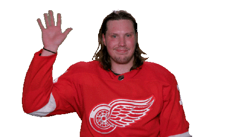 Red Wings Sport Sticker by Detroit Red Wings