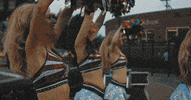montreal alouettes football GIF by Alouettes de Montréal