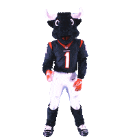 Football Nfl Sticker by Houston Texans
