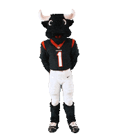 Nfl Stop Sticker by Houston Texans