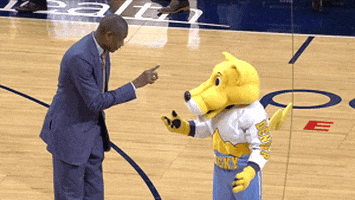 Denver Nuggets What GIF by NBA