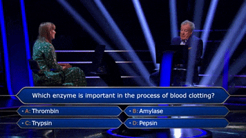 Wwtbams8E2 GIF by Stellify Media