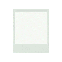 Chris Carrabba Guitar Sticker by Dashboard Confessional