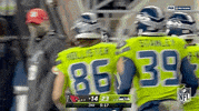 Seattle Seahawks Football GIF by NFL