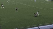Washington Spirit Sport GIF by National Women's Soccer League