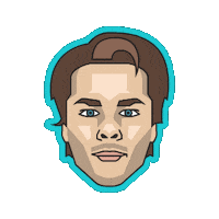 Dallas Stars Nhl Stickers Sticker by NHL