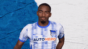 Bundesliga Berlin GIF by Hertha BSC