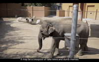 GIF by Arun Considers