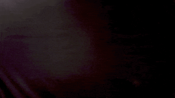 Happy Sport GIF by Seattle Sounders