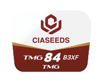 Tmg Sticker by Ciaseeds