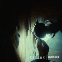 Scared Horror GIF by Shudder