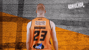 Sport Basketball GIF by Basket_fi
