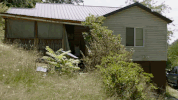 viceland GIF by WEEDIQUETTE