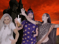 pugliferecords bollywood indian pug saree GIF