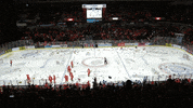 Pittsburgh Steelers Bleedorange GIF by Sheff_Steelers