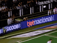 Ze Rafael Santos GIF by Rick DSGNR