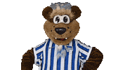 Hallo Hertha Berlin Sticker by Hertha BSC
