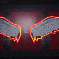 College Football Sport GIF by Louisville Cardinals