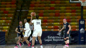 utah state GIF by USUAthletics