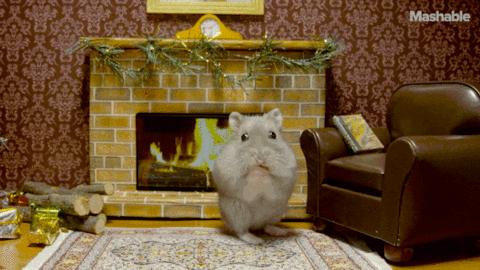 Christmas Hamster GIF by Mashable
