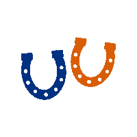 Show Jumping Sticker by Paso Park