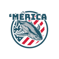 Stars Usa Sticker by Put Me Outside