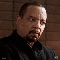 Law And Order Svu Nbc GIF by SVU