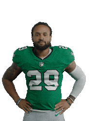 Fly Eagles Fly Yes Sticker by Philadelphia Eagles