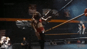 Shimmy GIF