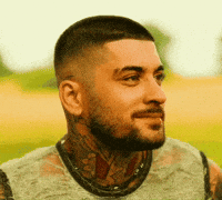zaynmalik_ zayn malik zayn zquad GIF
