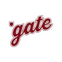 Colgateraiders Sticker by Colgate Athletics