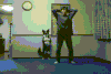 training partner GIF