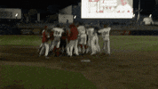 Major League Baseball Win GIF by Fresno Grizzlies
