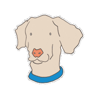 Dog 犬 Sticker by ペトコト