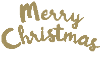 Merry Christmas Sticker by Pacific Place