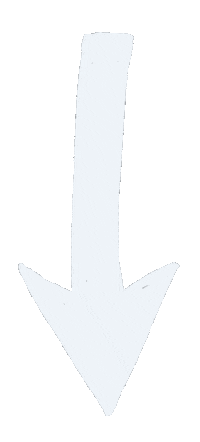 Arrow Look At This Sticker by Debbie Ridpath Ohi