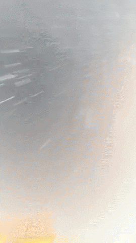 Tombraider GIF by Youtooz