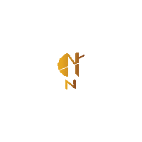 Woodwork Sticker by Wood N Brain