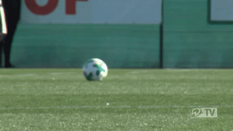 werder werderbremen GIF