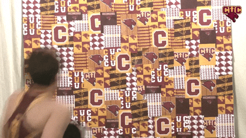 Wtf GIF by CUCougars