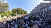 news protest climate change ireland climate crisis GIF