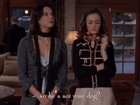 season 5 netflix GIF by Gilmore Girls 