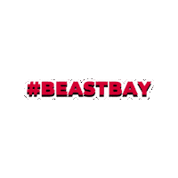 East Bay Csueb Sticker by Cal State East Bay