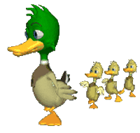 duck STICKER