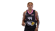 Basketball Hoops Sticker by Basket_fi